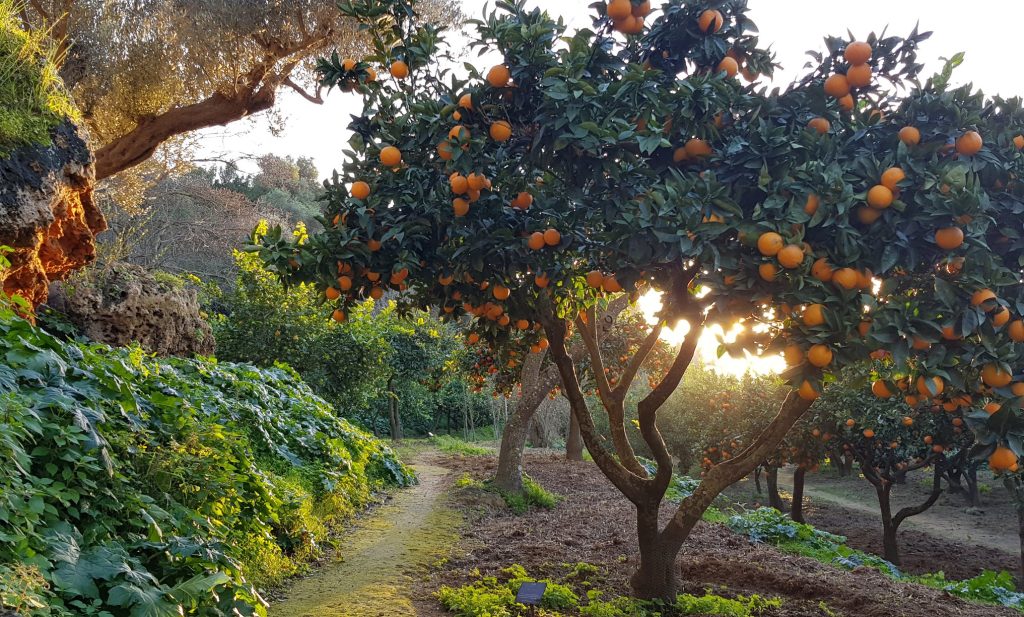 Touritage training of trainers